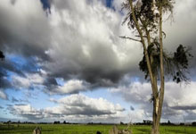 碧峰峡风景区怎么玩才尽兴？超实用旅游攻略来啦！